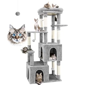 Globlazer F61 Cat Tower for Indoor Cats, Heavy Duty Cat Trees for Large Cats Adult Big Cats Maine Coon Cat Tree Tower with Scratching Post, Extra Large Top Perch, Cat Condos, Light Grey, 61inch