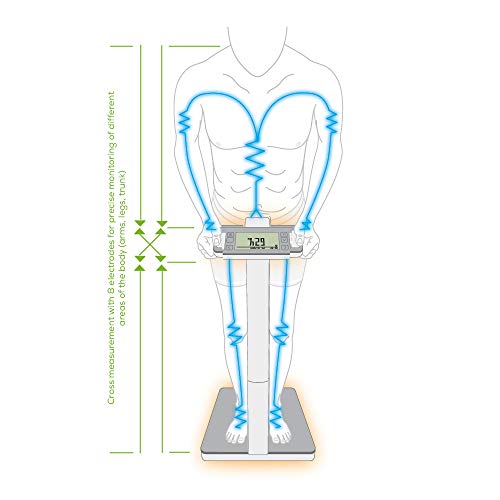Beurer Bf1000 Super Precision Body Composition Analysis Scale With Free Health Management App, Cross Measurement For Analysis Of Isolated Body Areas, Bmi Calculator #TOP4
