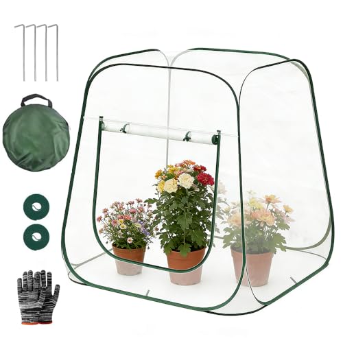 Gewächshaus Klein, 98x98x98CM Überwinterungszelt für Pflanzen, Wasserdichtem PVC, Pop Up Mini Gewächshaus zum Schutz von Pflanzen und Blumen, Innen und Außen Verwendbar, Transparent