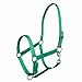 Miller's Adjustable Nylon Halter with Snap and Breakaway Leather-Emerald Green-Horse