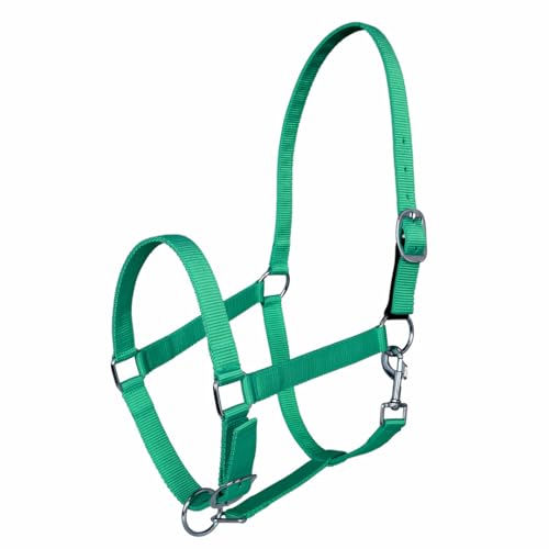 TuffRider Millers Adjustable Nylon Halter with Snap and Breakaway Leather-Emerald Green-Pony