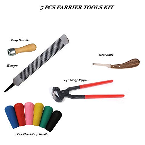 Equinez Tools 5 PCS Farrier Horse Hoof Kit Nippers Rasp Handle RH Poly