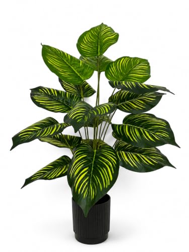 Image of Cocco.BUA Artificial Plant with Black Pot, 18 Leaves, 76 CM (2.5 Feet) (Calathea Plant)