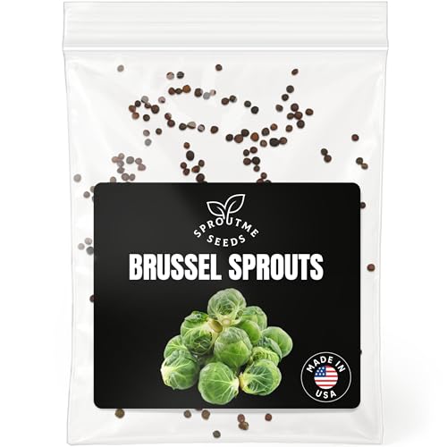Brussels Sprouts Catskill Seeds for Planting â€“ 200+ Non-GMO Heirloom Mini Cabbage Seeds (Brassica oleracea VAR. gemmifera)