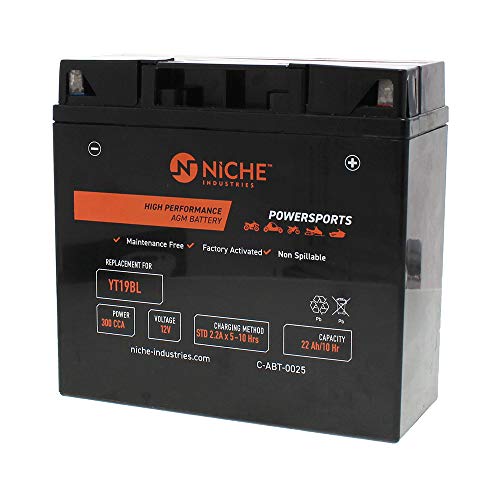 NICHE Battery for YT19BL AGM Sealed Maintenance Free | 300CCA 12V Factory Activated