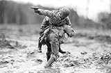 Historical Photo Collection 8 x 10 Photo Wwii Brave Men Leave No One Behind Marine Moto Wwii On High...