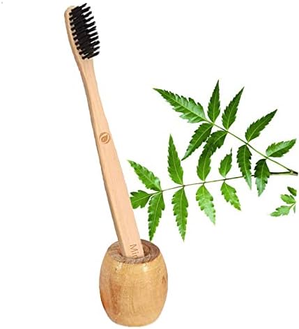 1. Soporte para cepillo de dientes de bambú, 1 cepillo de dientes de bambú, cerdas suaves, natural, limpieza oral, biodegradable (paquete de 2)