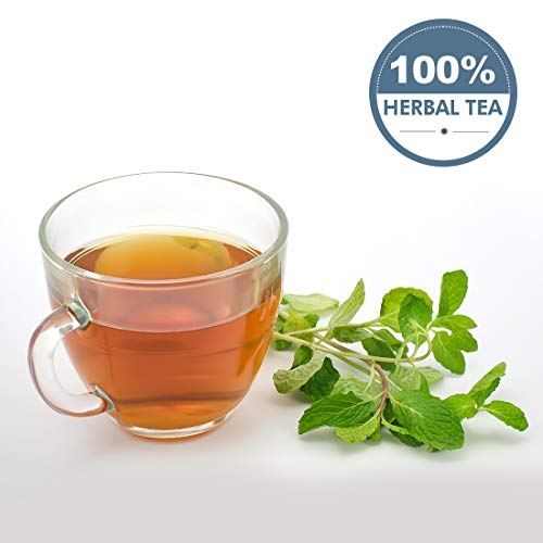 Image of Goodwyn Peppermint Tea, Herbal Tea to Refresh and Rejuvenate, 50 Grams