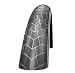 SCHWALBE Big Apple Plus Green Guard Wired Tire, 20 x 2.15-Inch