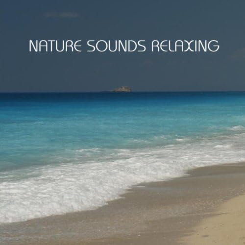 Nature Sounds Relaxing the Most Relaxing Music Imaginable
