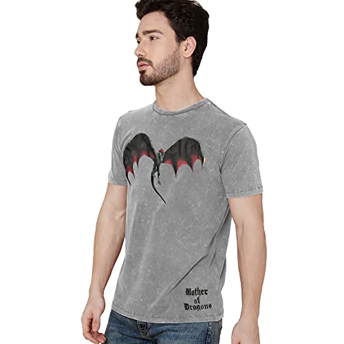 Image of Free Authority Game of Thrones Printed Regular Fit Grey Cotton Men's T-Shirt