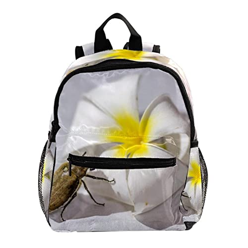 Sac à dos pour garçons et filles léger et étanche contre les cartables lourds
