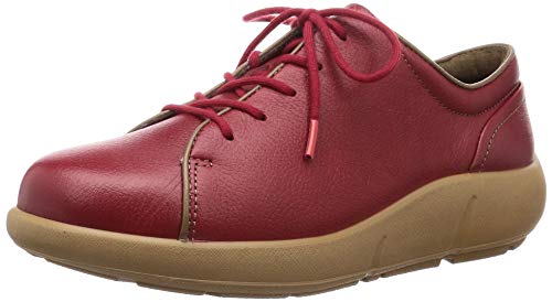 [ALX\{] EH[LOV[Y Y {v 3E SRL 4720 fB[X bh 22 cm