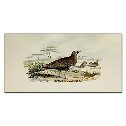 Impression sur verre trempé 100x50cm tableau animaux sauvages oiseaux