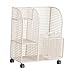 Menolana Workout Equipment Organizer, Vertical Large Capacity Home Gym Storage Organizer with Wheels, White
