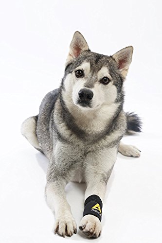Agon® Dog Canine Front Leg Brace Paw Compression Wraps With Protects Wounds Brace Heals And Prevents Injuries And Sprains Helps With Loss Of Stability Caused By Arthritis (Small/Medium) #TOP7