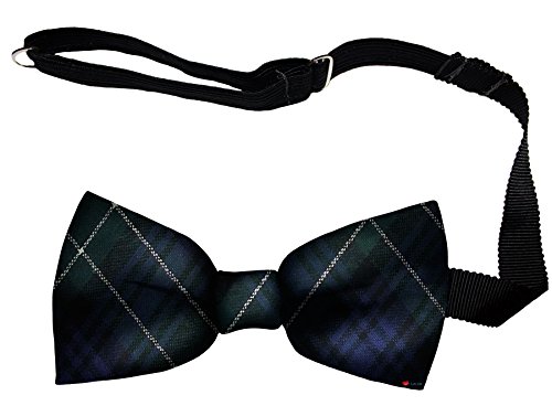 Noeud papillon homme en laine Abercrombie Modern Tartan écossais