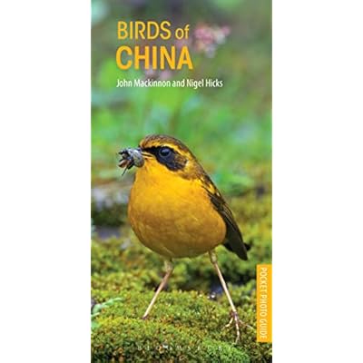 Birds of China