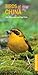 Birds of China (Pocket Photo Guide)
