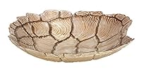 Algopix Similar Product 13 - Deco 79 Glass Turtle Bowl, 13 by 3-Inch