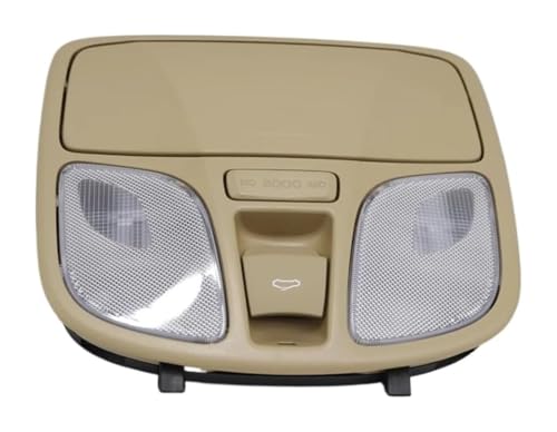 Lámpara de techo para coche Sonata 928103SXXX lámpara lectura interior
