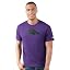 Baltimore Ravens, Purple