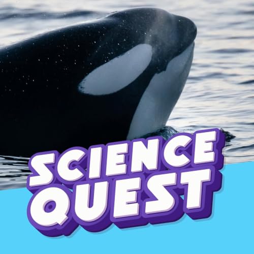 Why Are Orcas Black and White?⚫⚪
