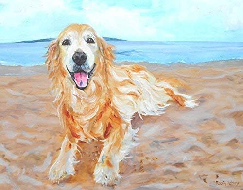 Golden Retriever Art, Print From Original Oil Painting of Dog on the Beach, Signed by Artist Robin Zebley, 8 x 10 Inch