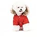 PetBoBo Cat Dog Doggie Down Jacket Hoodie Coat Pet Clothes Warm Clothing for Small Dogs Winter Red L