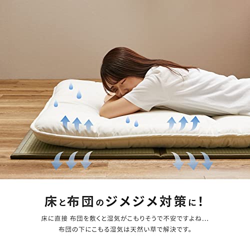 4つ折り畳マットレス 約100×200cm シングル 『鞍馬』 折りたためる 置き畳 い草 [5]