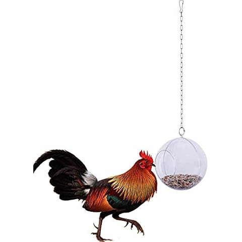 Macabolo Chicken Hanging Feeder Toy for Chicken Feeder Treat Ball with Veggie and Seed Feed for Pet Parrot Bird Cover