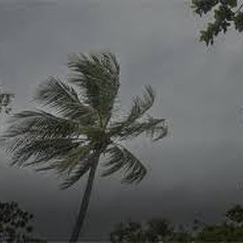 Low chance of cyclone forming off QLD coast next week