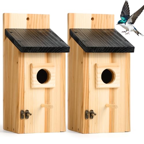 2 Pack Bird Houses for Outside – Cedar Outdoor Bird