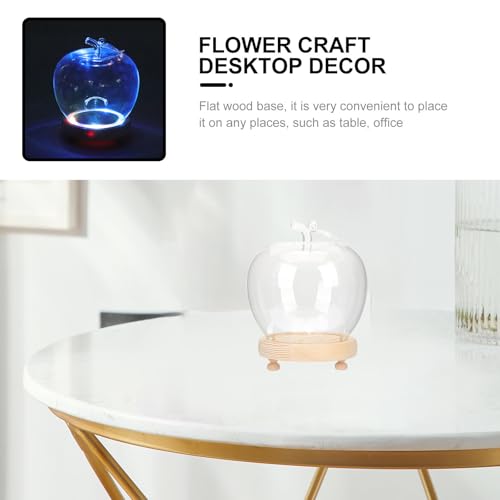 Cúpula de vidrio transparente con base brillante para decoración navideña y hogar 8