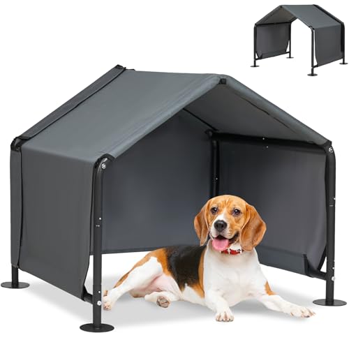 How long can dogs be in the rain