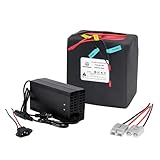 BtrPower 60V 20Ah LiFePO4 Lithium Battery Built-in 50A BMS for 0-1800W Motor