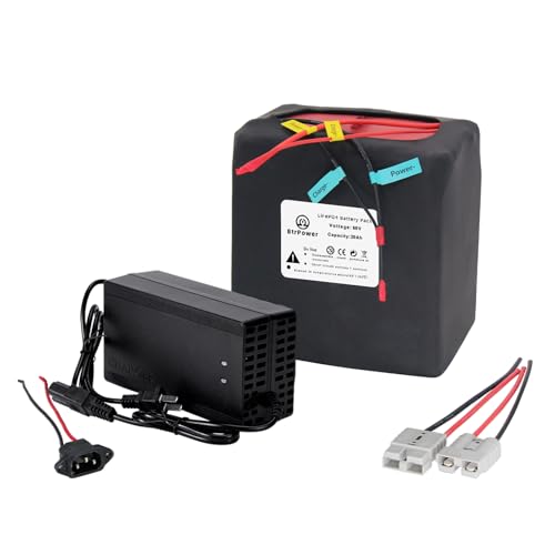 BtrPower 60V 20Ah LiFePO4 Lithium Battery Built-in 50A BMS for 0-1800W Motor