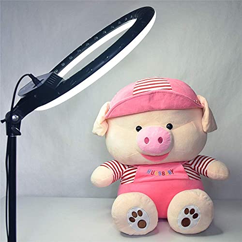 FACAZ Kamera-Foto-Video-Beleuchtungs-Kit 18-Zoll-LED-Fotografielicht Handy Selfie Schönheit Ringlicht Netz Rot Live… – Bild 4