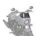 Indian Motorcycle Chief Quarter Fairing Low Flared Wind Deflector - 2889916-02