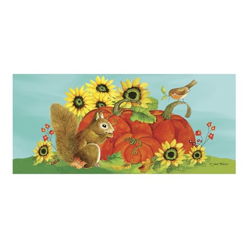 Evergreen Flag Fall Friends Sassafras Switch Mat Inserts, Interchangeable Front Door Mat Outdoor Entrance, Indoor Door Mats for Entryway, 22 x 10 Inches Sassafras Doormat Inserts