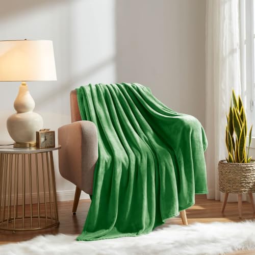 Image of KMUSET Fleece Blanket Queen Size Lightweight Cozy Plush Microfiber Solid Blanket Factory Shop