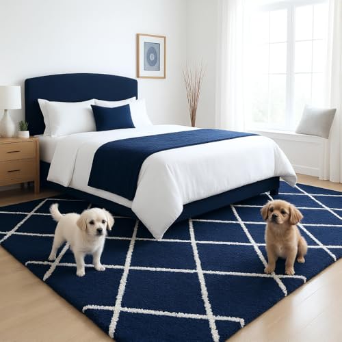 Image of Carpet for Hallway, Kitchen, and Modern Interiors, Cozy Shag Runner for Living Room, Entryway & Office Decor Size 6x9 feet Blue B