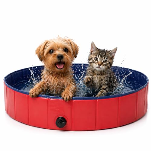 Petzee Piscina para Perros 80x20cm - Piscinas Desmontables - Piscina Desmontable - Piscina Perros - Piscinas para Perros - Bañera Perro - Mascotas - Baño para Perros - Refrescar Mascotas