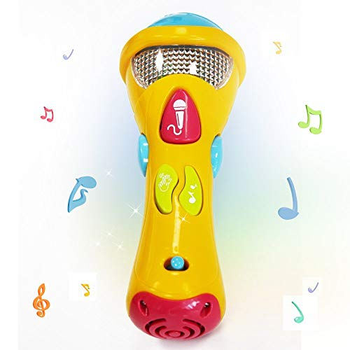 Kids Music Karaoke Microphone Toys - Wishtime Toddler Singing Karaoke Microphone for Recorder with Music and Light(Color May Vary)