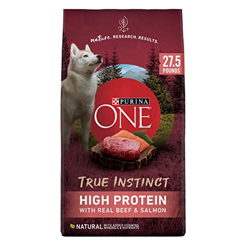 Revamp Your Pup's Diet with These Top 10 HighProtein Dog Foods Review
