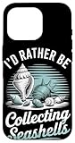 Summer Shell Collecting Seashell Hunting