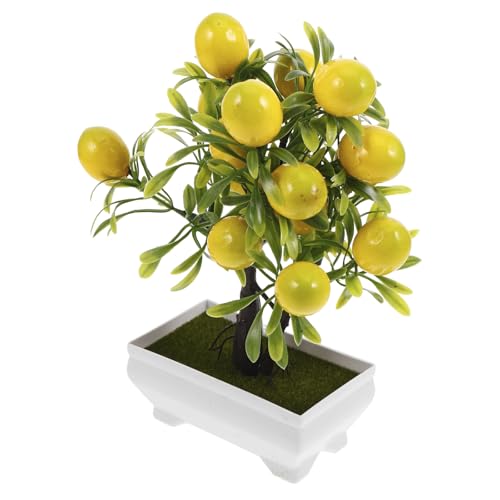 CLISPEED ���A���Ȍ����ڂ̃t�F�C�N�t���[�c�̖� �l�H�������̖� ���A�� �v���� �������ȒP �L�b�`����ƒ�p�̃C���e���A�����ɍœK