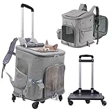 Ligero, Duradero y Transpirable.: Hecho de malla y tela oxford duradera, puede prevenir eficazmente que las garras se rompan. Ligero pero duradero (impermeable forrado con Oxford), la malla duradera y la malla transpirable proporcionan a sus mascotas suficiente oxígeno.