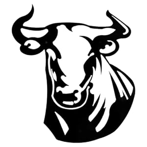 Artistic Wall Decor Bull Head, Bull Head Wall Metal Art, Iron Bull Head Wall Decoration, Decorative Bull Head Sculpture, Bull Head Indoor Art, Bull Head Outdoor Decor