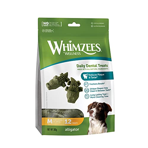 WHIMZEES Alligator M, 12 Pezzi – Taglia M, Snack per Cani di Taglia Media, Naturali & Senza Cereali, Vegetariane, Senza Zuccheri Aggiunti